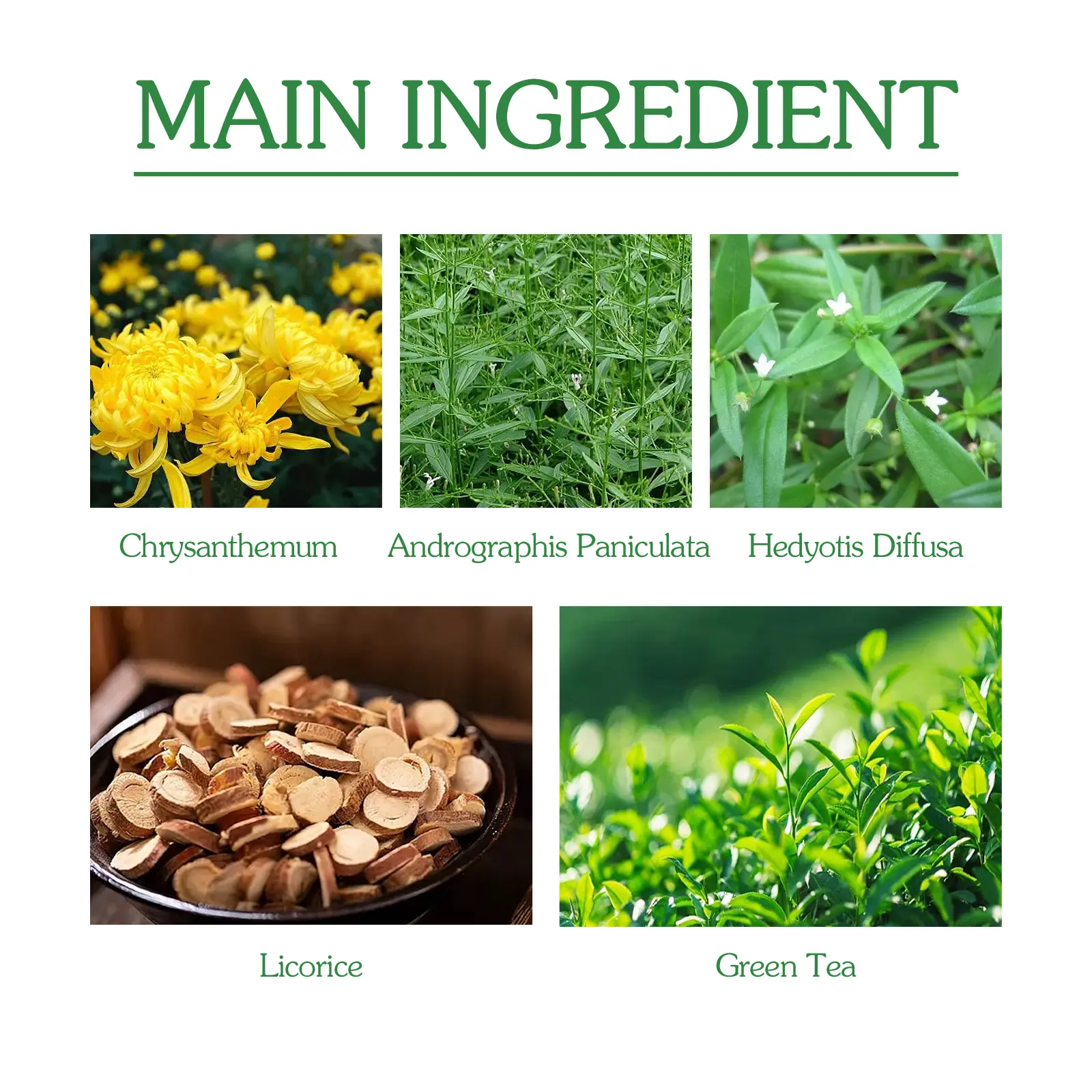 Herbal Tea for Hemorrhoid Discomfort Relief - Natural Soothing Blend 9 googeer body care tea hemorrhoids GOA08 A008 7 GN1 4431