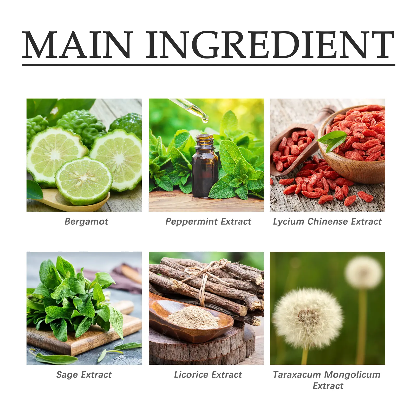 Body Care Tea with Bergamot & Peppermint - Googeer 9 googeer body care tea relieve discomfort GOH01 A007 150 YE1 391