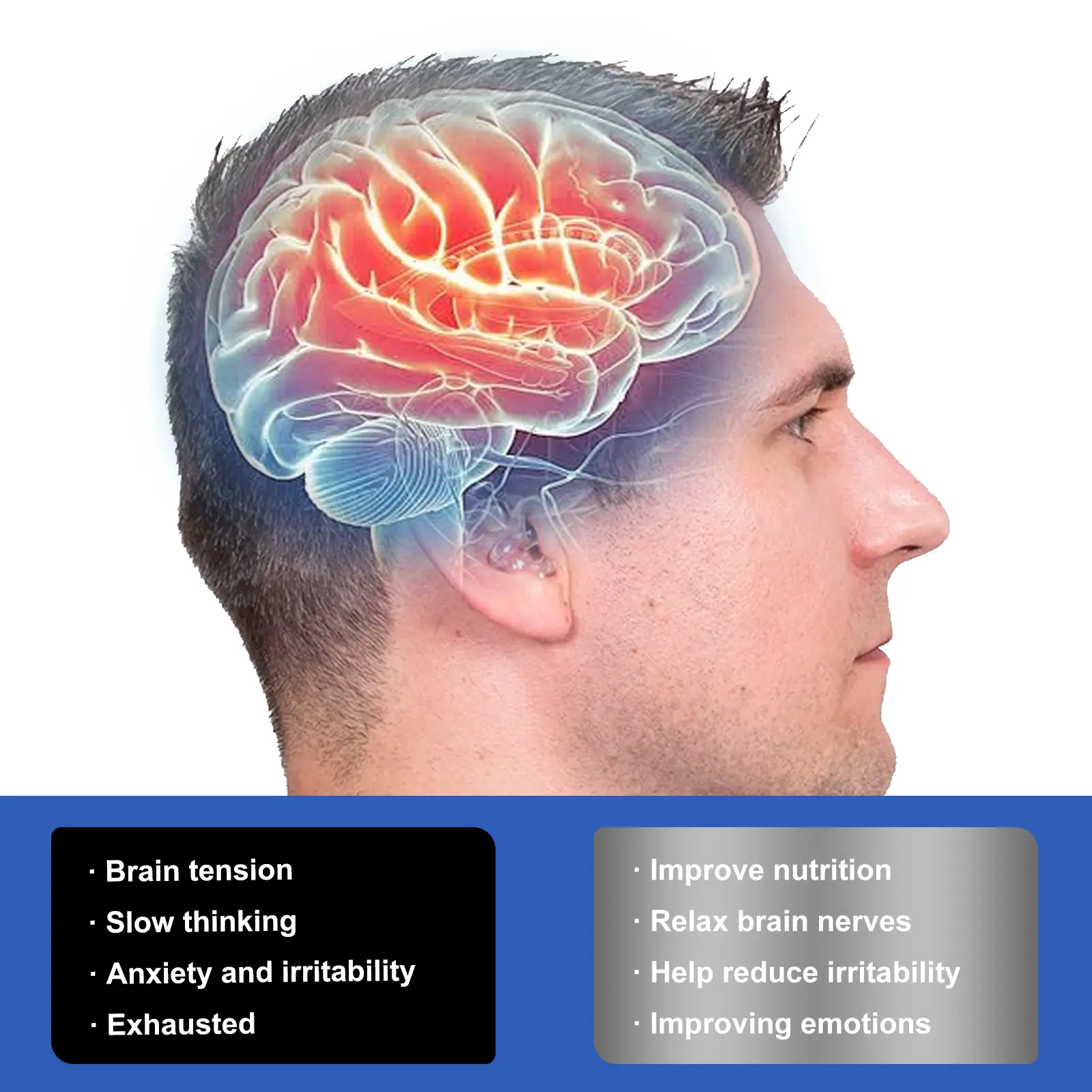Brain Boost Plus Cognitive Support Drops with Ginkgo Biloba & Green Tea - Googeer 12 googeer brain boost plus anxiety fatigue GOI02 A005 30 BK1 666