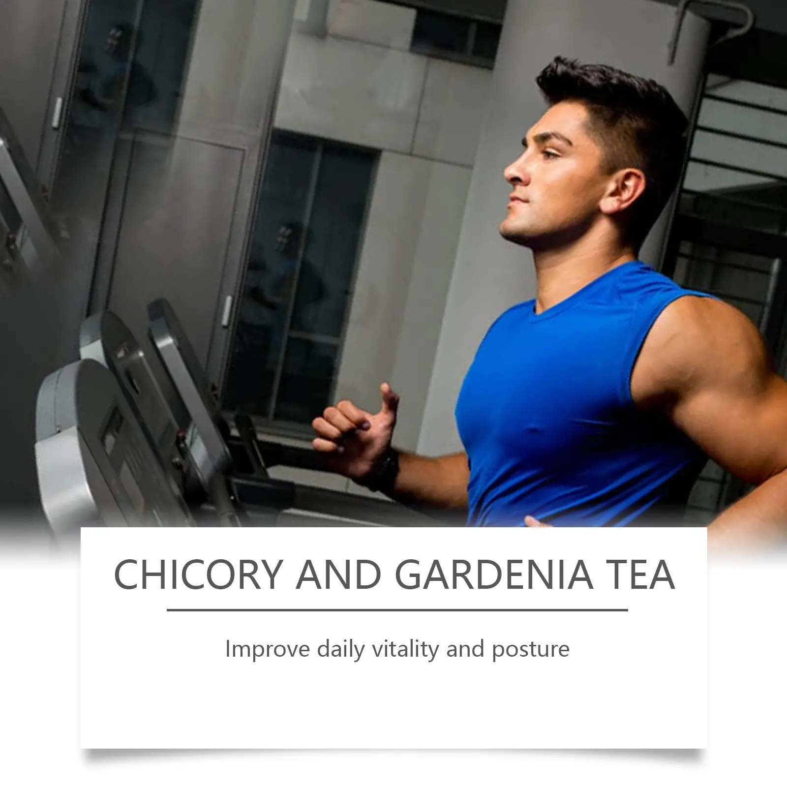 Gourmet Chicory Gardenia Herbal Tea 13 googeer chicory gardenia tea body GO I01 0020 01 4817