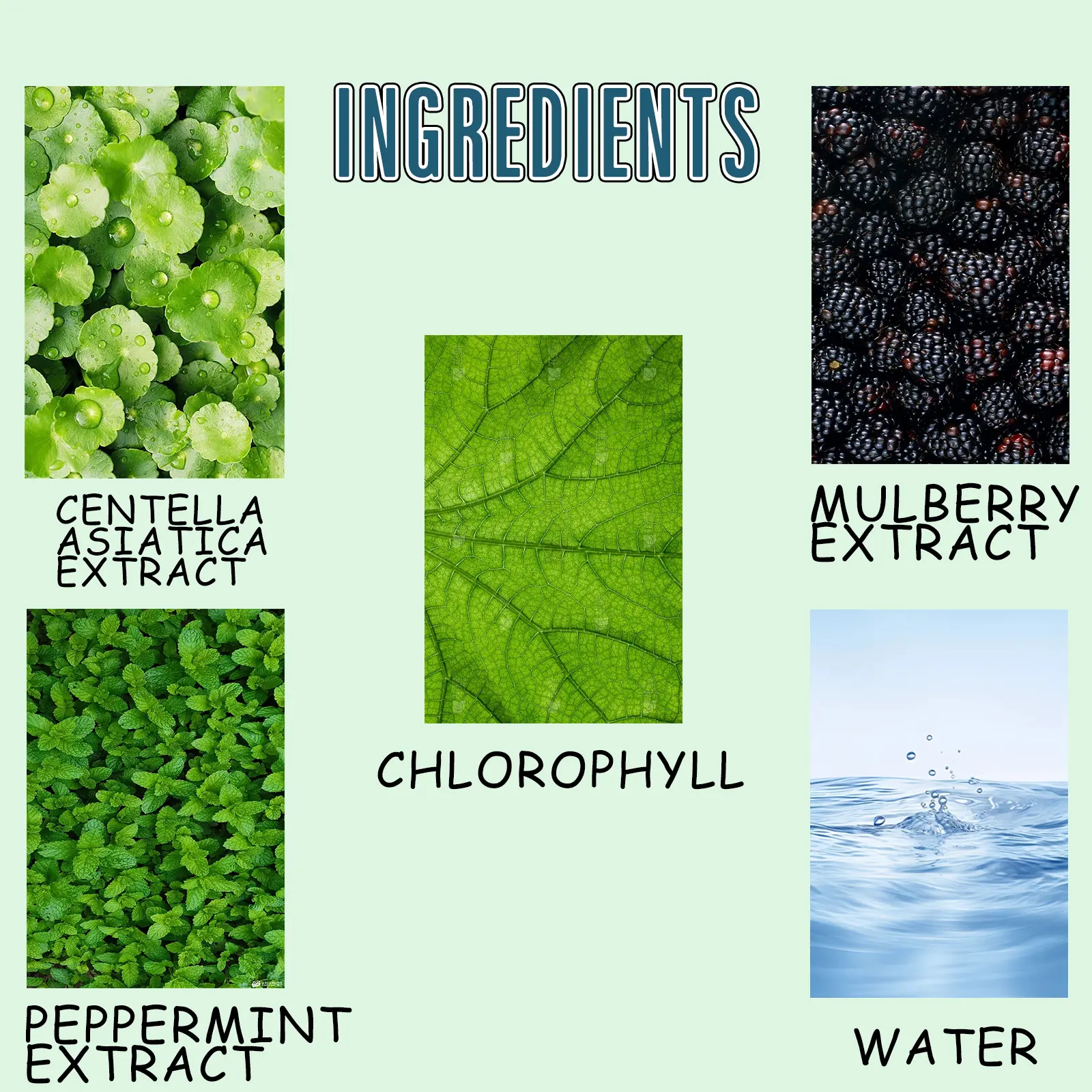 Chlorophyll Liquid Drops for Fresh Breath & Energy Support - Googeer 9 googeer chlorophyll liquid drops bad breath GOI02 A025 60 WH1 1016