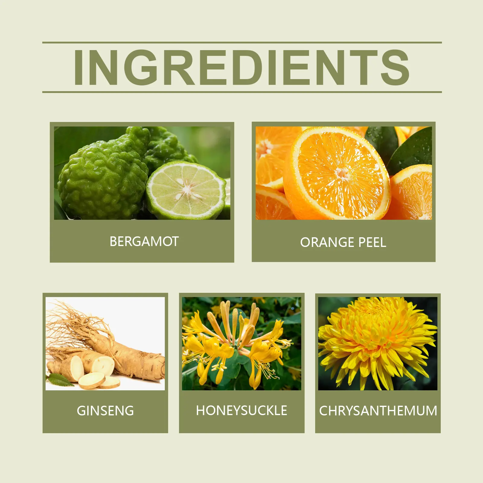 Detox Vitality Herbal Tea with Ginseng & Chrysanthemum - Googeer 9 googeer detox vitality herbal tea GOI01 A001 6 GN1 3257