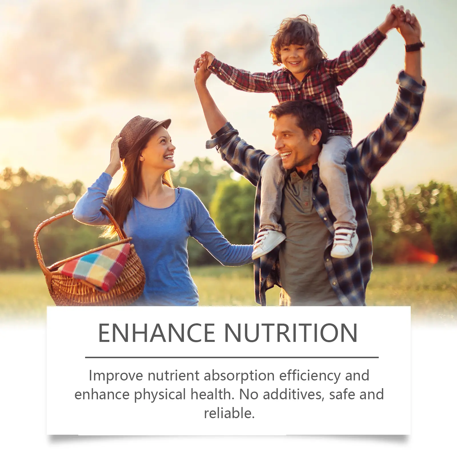 Gastrointestinal Digestive Supplement Drops for Digestive Support - Googeer 12 googeer gastrointestinal digestive supplement drops GOB07 A059 59 BU1 3404