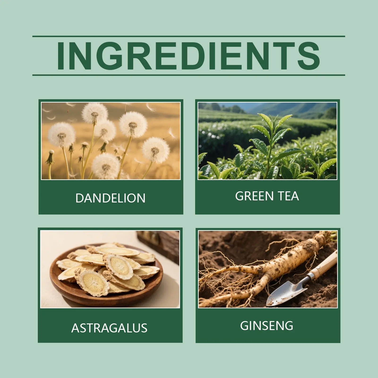 Herbal Prostate Health Tea - Green Tea & Dandelion Blend 9 googeer herbal prostate health tea body GO I01 0031 01 5728