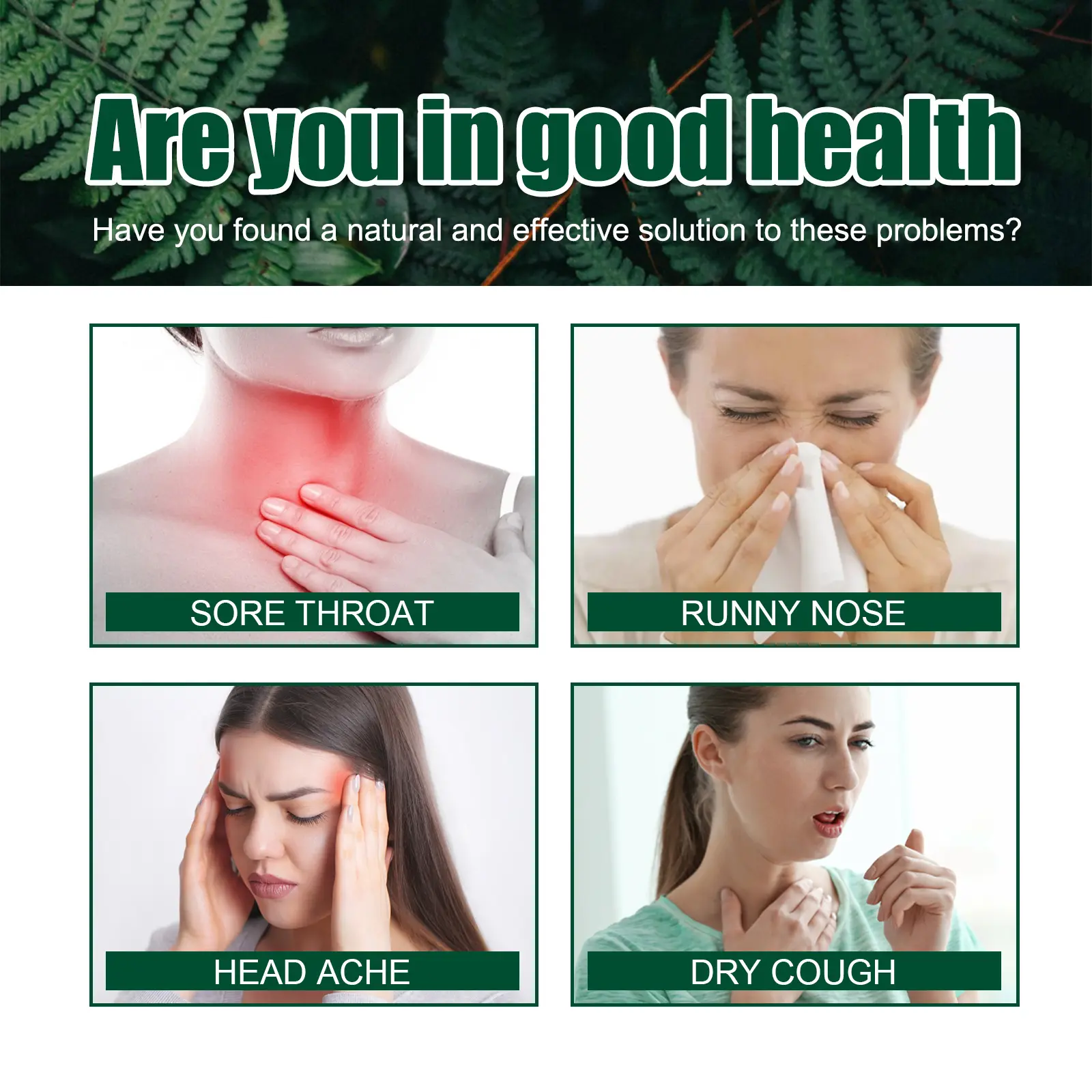 Herbal Spray with Snow Lily and Honeysuckle Extract 13 googeer herbal repair spray fatigue GOH02 A004 30 GN1 3939