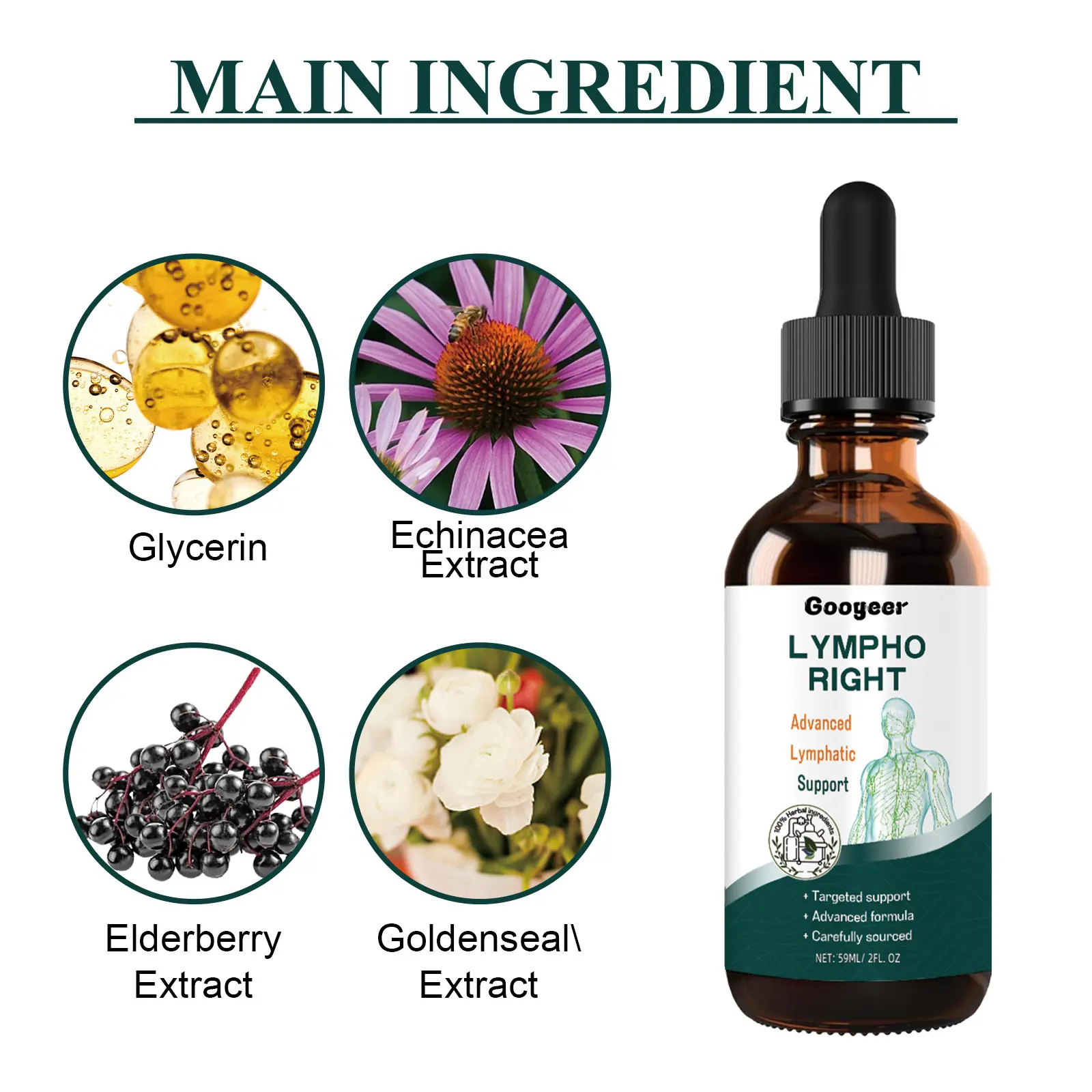 Herbal Supplement Drops for Lymphatic Support and Wellness 9 googeer herbal supplements lymphatic swelling GOH02 A040 59 GN1 4297