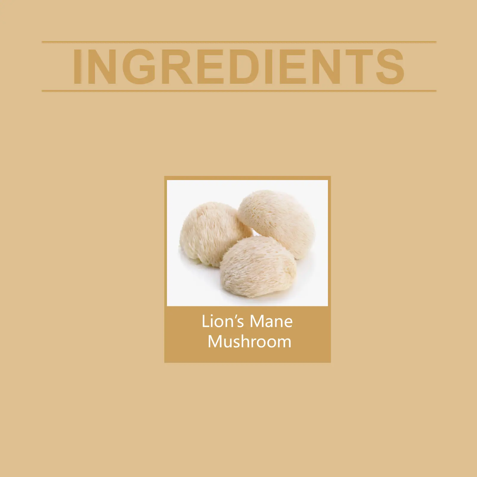 Lion's Mane Mushroom Liquid Drops - Cognitive Support Supplement 3 googeer mane mushroom liquid drops GO B10 0011 01 5279