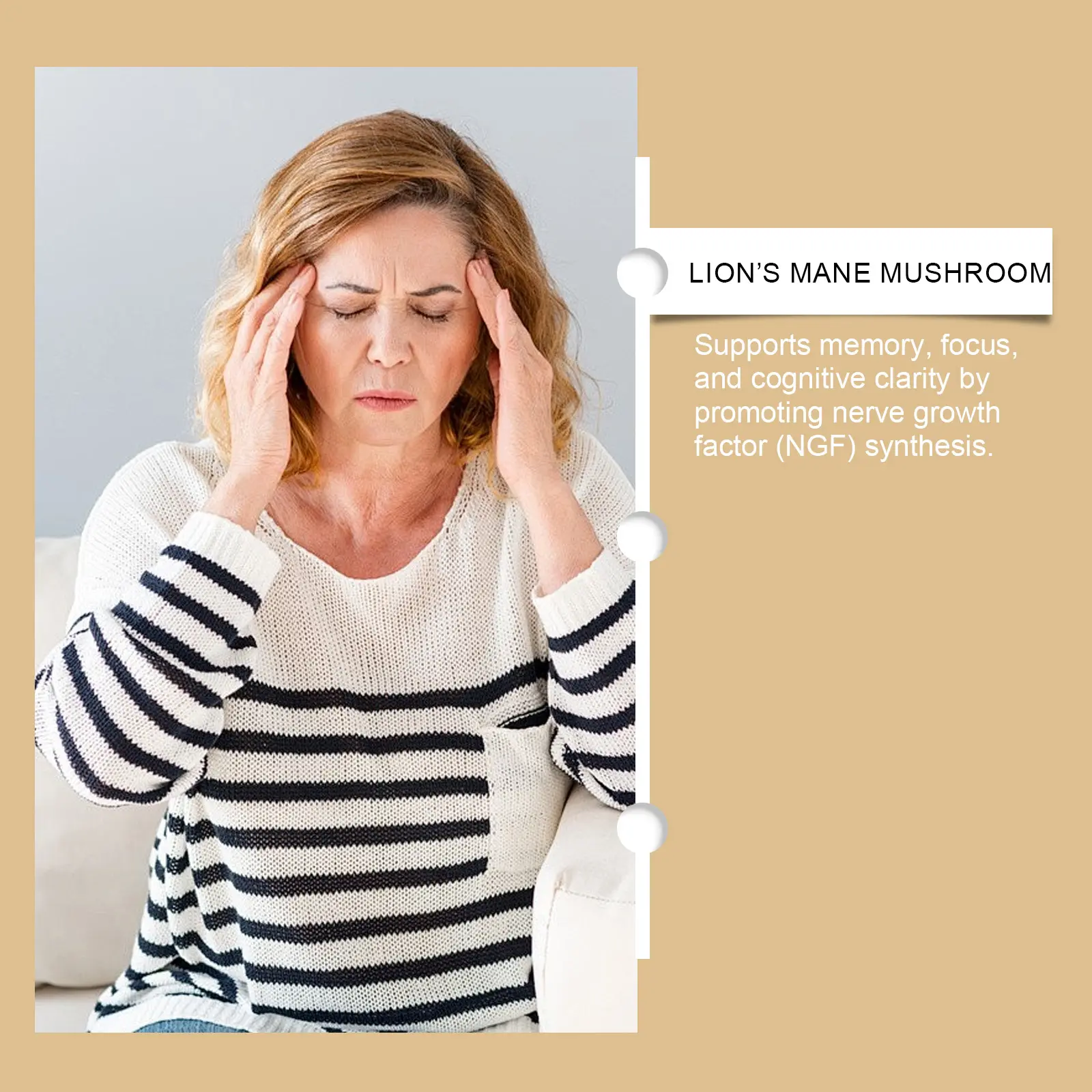 Lion's Mane Mushroom Liquid Drops - Cognitive Support Supplement 10 googeer mane mushroom liquid drops GO B10 0011 01 5285