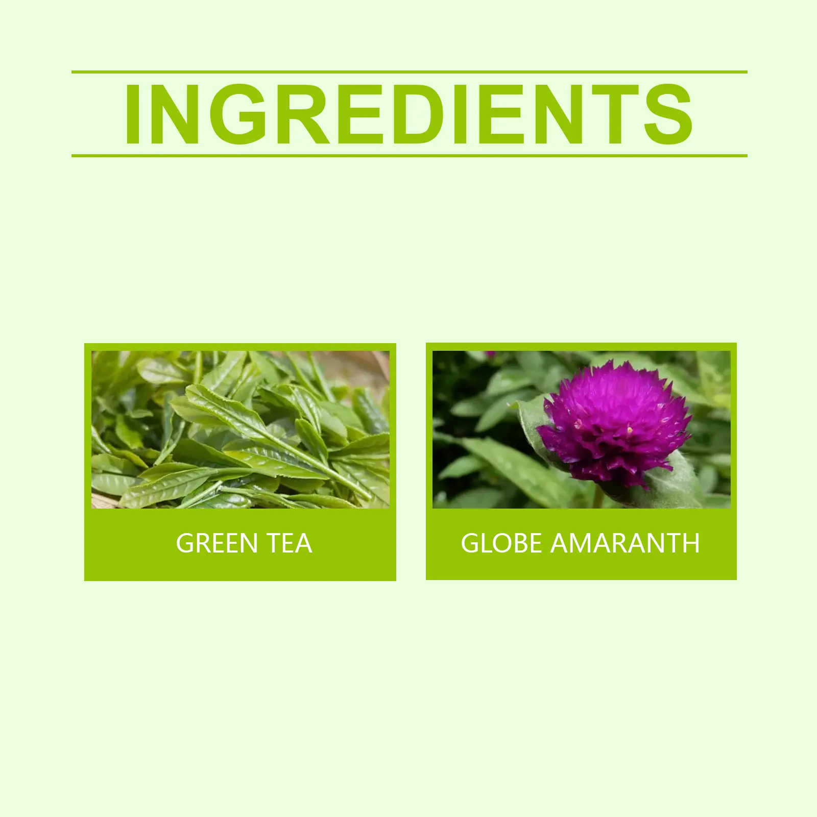 Herbal Tea with Green Tea and Thousand Sun Red - Refreshing Daily Blend 9 googeer metabolism conditioning tea GO I01 0025 01 4996
