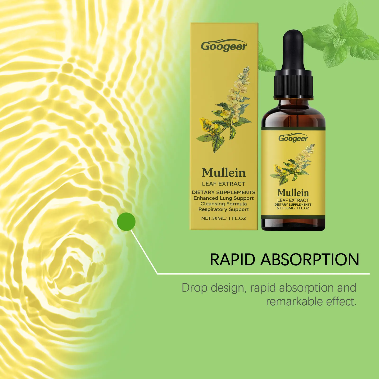 Mullein Leaf Drops for Lung Support and Respiratory Wellness by Googeer 11 googeer mullein leaf lung clearing drops GO I02 0200 01 568