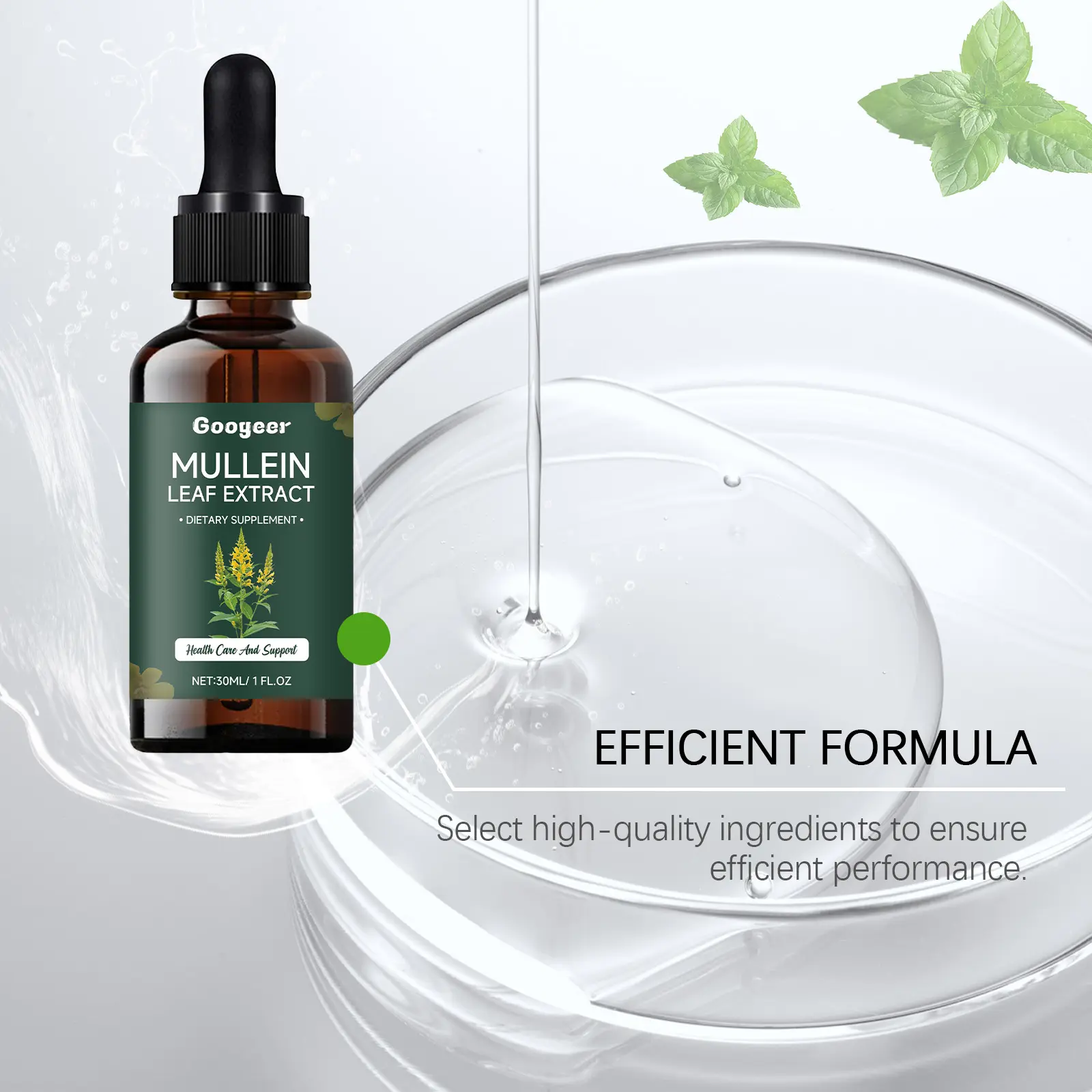 Mullein Drops Herbal Dietary Supplement with Mint - Googeer 13 googeer mullein lung cleansing drops GO B07 0073 01 559