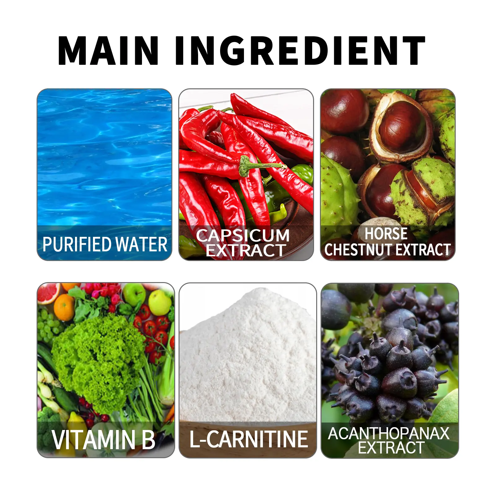 Muscle Support Formula with B Vitamins & Cayenne Extract 9 googeer muscle enhancer shaper GOH02 A024 1 BK1 4277