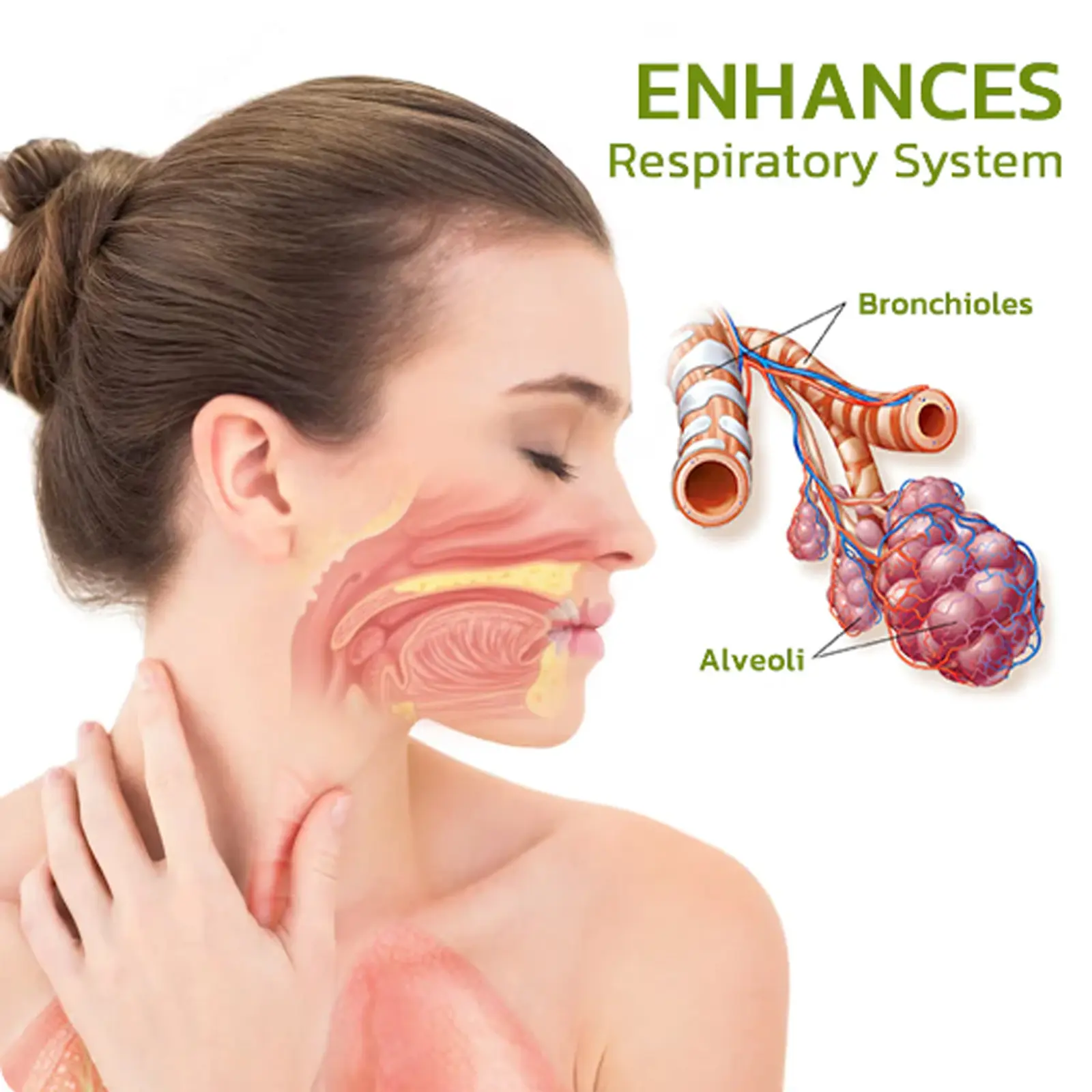 Herbal Respiratory Support Spray for Throat Relief by Googeer 14 googeer natural herbal spray cough throat breathing GOH02 A051 30 GN1 1598