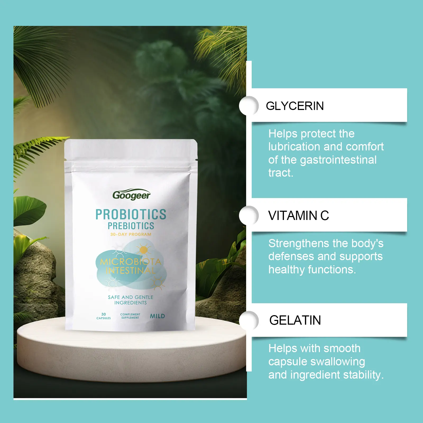 Probiotic Capsules for Gut Health and Stomach Comfort by Googeer 11 googeer probiotic stomach capsule GO I02 0194 01 1167