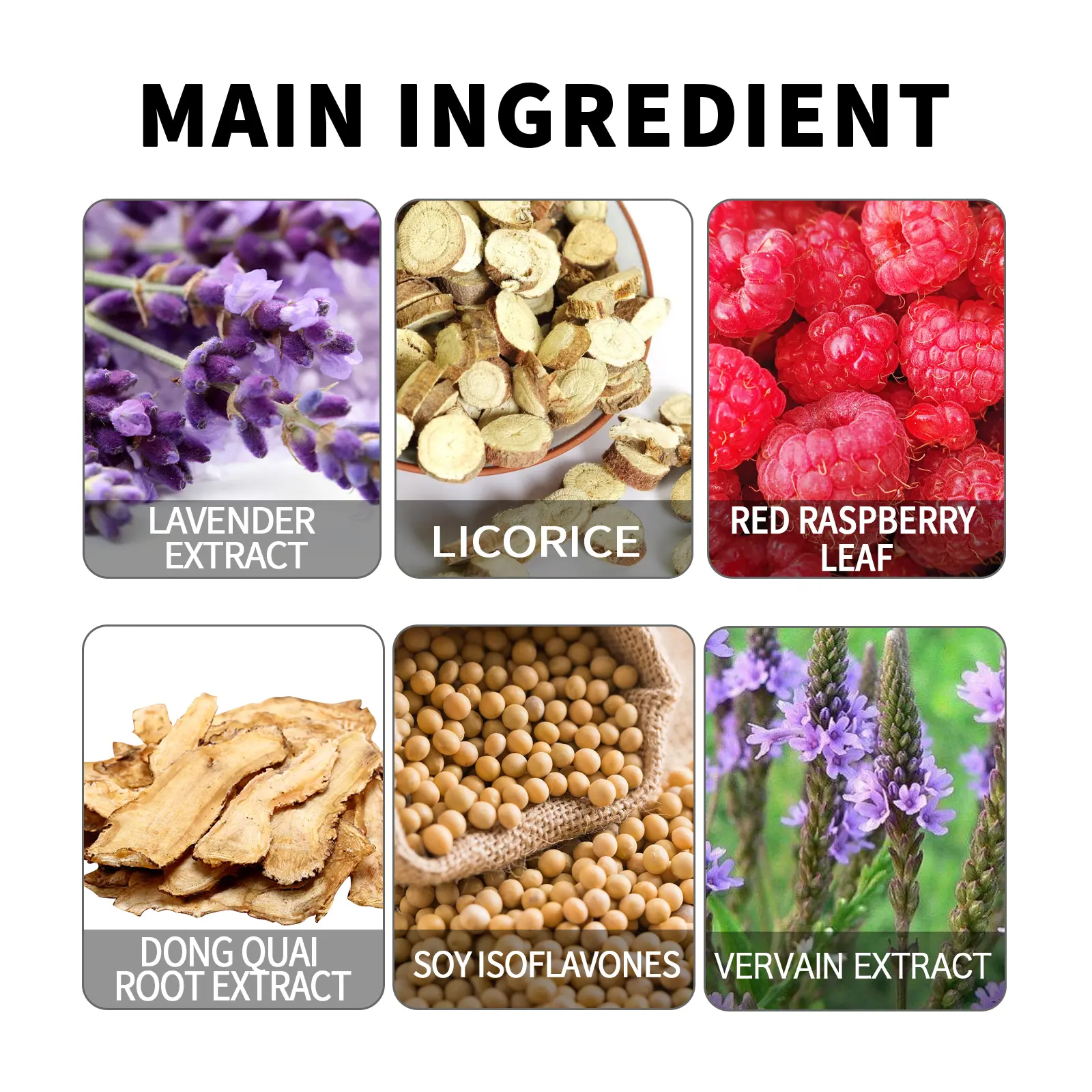 Women's Wellness Supplement Drops with Lavender & Raspberry - Googeer 9 googeer supplement drops women discomfort GOH02 A046 30 RD1 1533